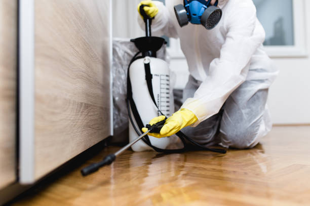 Pest Control Cost in Lakeland North, WA