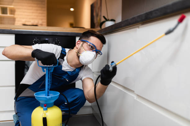 Best Bed Bug Extermination  in Lakeland North, WA
