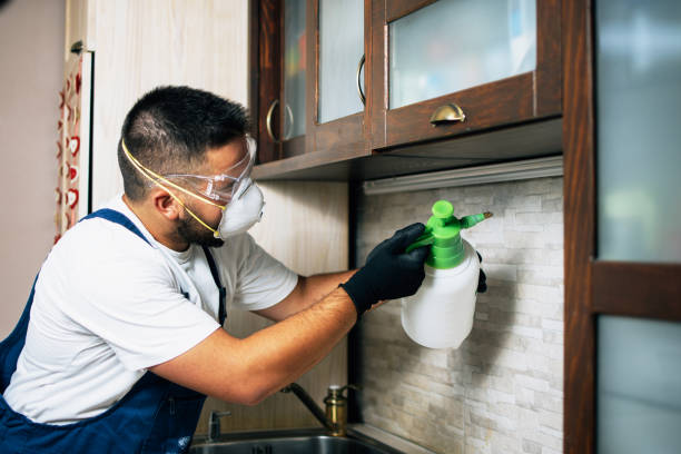 Best Best Pest Control Companies  in Lakeland North, WA