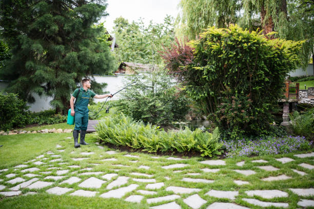 Trusted Lakeland North, WA Pest Control Experts