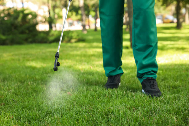 Best Wasp Removal Services  in Lakeland North, WA