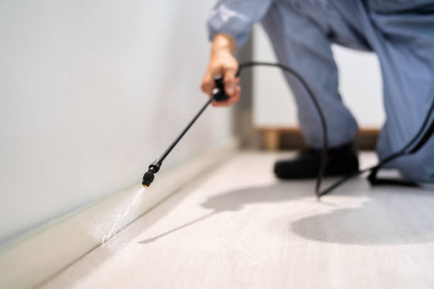 Best Exterminator Services  in Lakeland North, WA