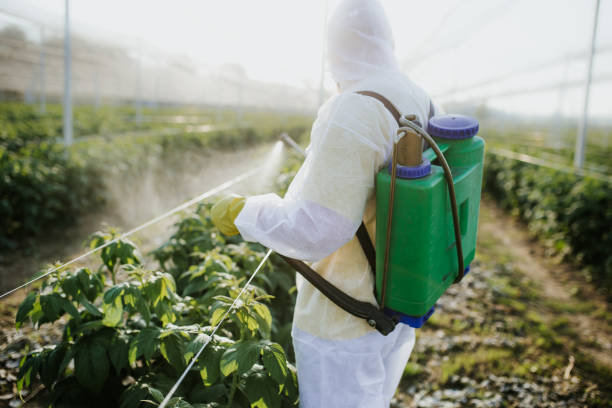 Pest Prevention Services in Lakeland North, WA